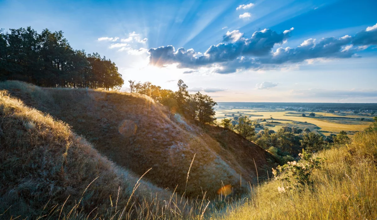 Metody jak dobrze zrobić link building