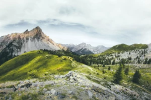 Gdzie wypożyczyć meble?