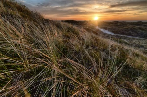 Czy można zamówić pokazy tańca Warszawa w niedzielę nie handlową?
