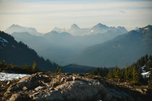 Czy możesz reklamować firmę?